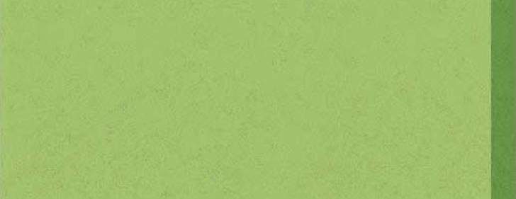 Stone Quartz Verde
